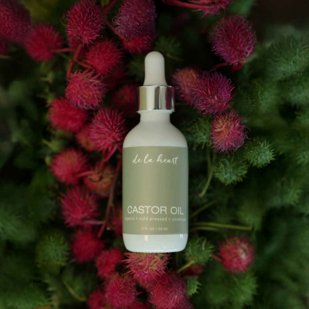 SCULPT & DEBLOAT KIT