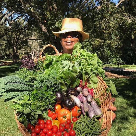 Miami's Top 5 Farmers Markets To Visit