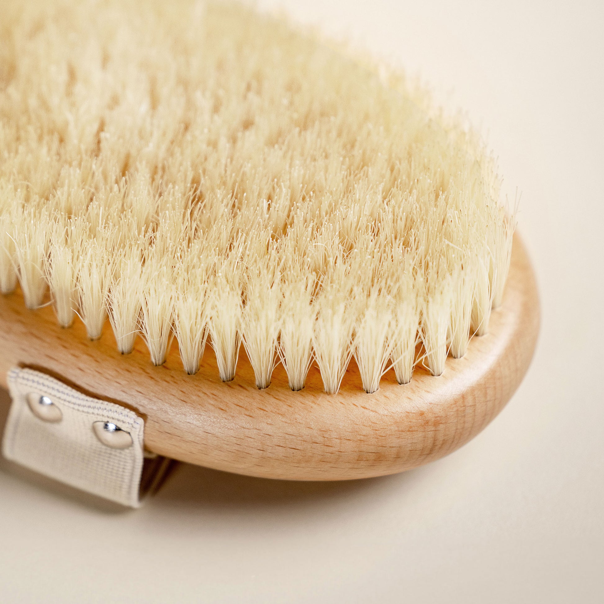 Dry Brushing 101 Handout — Functional Health Research + Resources — Made  Whole Nutrition